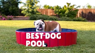 Best Dog Pool