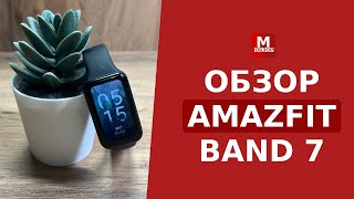 AMAZFIT Band 7 краткий обзор и общее впечатление