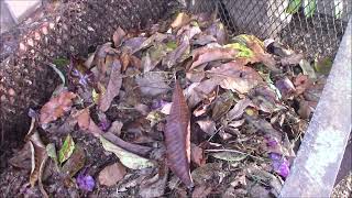 Mulching and butterfly house