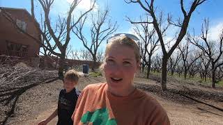 Pecan Farm In Utah! Finding Local Food Supplies. Spring Break Farm Tour