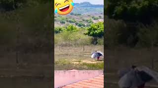 I Believe I Can Fly: Funny Man With Wings #funny #funnyvideo #funnymoments #wings