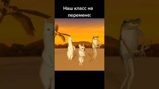 мемы №292 #shorts #memes #mem #мемы #мемасы #приколы