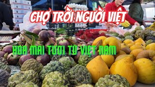 Không khí Tết Chợ Trời ở Mỹ | Mai Vàng - Trái Cây - Tôm hùm bông | Pinellas Flea Market