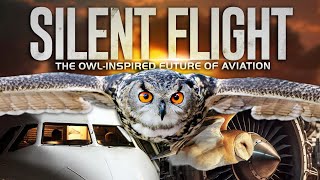 Can Planes Fly As Quietly As Owls? The Next Big Thing In Aviation | Ingenius Nature