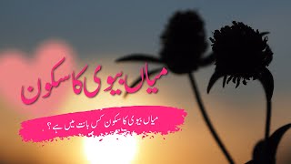 Mian Biwi Ka Sukoon Kis Bat Mein Hai| میاں بیوی کا سکون کس بات میں ہے؟ | Juma bayan by Maulana Azeem