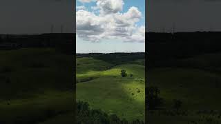 Flying Over Enniskillen Conservation Area #hiking #shorts #short #shortsvideo