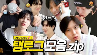 [샤이니/태민] 귀한🐣✨ '탬로그 6v6 📹' 80분.zip