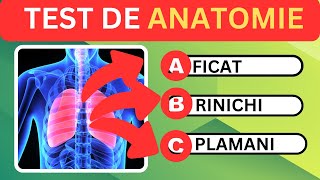 ANATOMIE..Test de anatomie..Cunostinte Generale.80% nu stiu raspunsul.