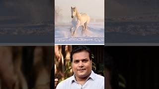 Top 10 Cid Actor Ki Danger Horse !! #shortsvideo #youtubeshorts