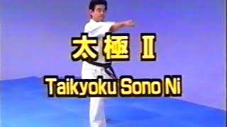 №3-2-1Kata, Taikyoku Sono Ichi, Ni, San #Kyokushin #Karate #Encycklopedia #Киокушин #каратэ