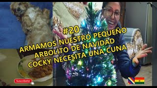 ARMAMOS NUESTRO PEQUEÑO ARBOLITO DE NAVIDAD/ COCKY NECESITA UNA CUNA/ VERITO VLOGS LA BOLIVIANITA