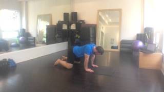 Quadruped Scapular Push-up