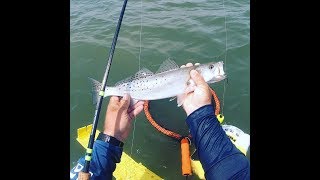 Exploring New Wade Spots in Galveston, TX