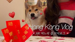 🇭🇰홍콩 Vlog| 7년차 홍콩댁 HK 며느리 설 브이로그🧧, 🐕 맛챠야 딱 붙어있어!