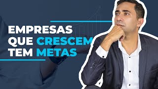 PROGRAMA de METAS: Como fazer sua EMPRESA CRESCER | Gregório Ventura