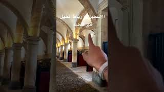 الإسطبل أو رباط الخيل في قرطبة #shorts #andalucia #islam #الأندلس #الاسلام #قرطبة