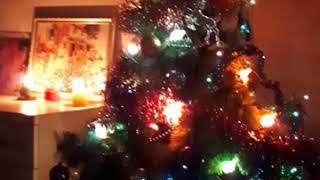 С наступающим НОВЫМ 2021 ГОДОМ!!!🎅🤶.  Наша ёлочка🌲❄❄❄. Our Christmas tree is festive!