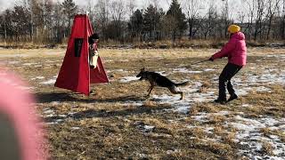 Аксельбруннен Рейнора. Занятие по защите 2 декабря 2018