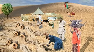 Desert in Registan khet Ri Dhani || Wood fioats Tharparkar Village Life Pakistan | Traditional