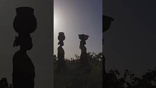 Termite Mound Ventilation: Nature's Engineering Marvel