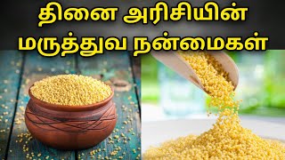 தினை அரிசியின் மருத்துவ நன்மைகள் | Foxtail millet health benefits in tamil @HealthTips24Tamil