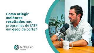 Como atingir melhores resultados nos programas de IATF em gado de corte?