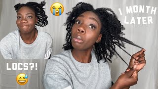 Taking Out 1 Month Old Mini Twist + MINI-TWIST Q&A