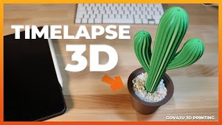 IMPRESIONANTE TIMELAPSE 3D - 🌵 Cactus 🌵 para decorar CON IMPRESIÓN 3D - Prusa mk3s