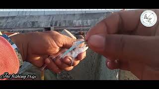 Day 2 sa spot na puro balo mag strike | ultra light fishing