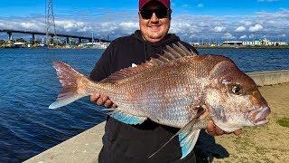 Hunt For Big Red Melbourne Snapper Port Phillip Bay