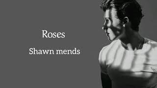 Roses - Shawn mendes (lyrics)