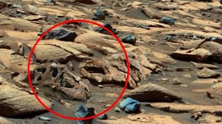 Incredible New Video of Mars Surface: Perseverance Rover Sent Stunning Landscape of Mars Sol 1290