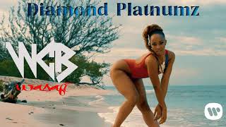 Diamond Platnumz   Usiniumize Official Music Video