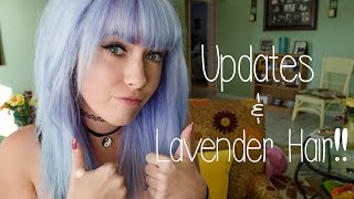 Updates and Lavender Hair!!!! :D