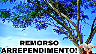 DEUS PERDOA O ARREPENDIMENTO #biblia #palavra #mensagem #reflexão