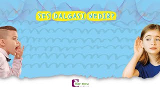 Ses Dalgası - Eğitici Video - Okul Öncesi Eğitim