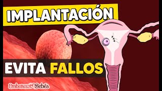 🔴 Implantación del embrión: Qué NO hacer para evitar fallos (para que el embrión no se desprenda)