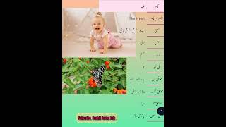 Haniyyah ہنیہ islamic Baby Girls  Name Meaning in urdu & Hindi || Baby Girls name