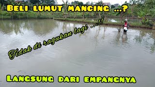 Penjual Lumut mancing kwalitas super / Umpan ikan Nila