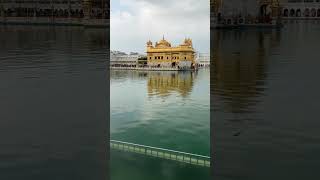 Waheguru #satnamwaheguru #shorts #youtubeshorts #waheguru #goldentemple #harmindersahib