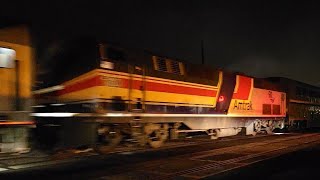 Amtrak 160 Trails On The Coast Starlight