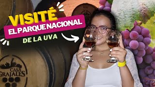 PARQUE DE LA UVA: ECOTURISMO EN COLOMBIA, EL LUGAR IDEAL PARA APRENDER SOBRE EL VINO | 🌺Flor Soñada