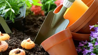 👩🏼‍🌾 Gardening in England, UK 🌱🍃🌸