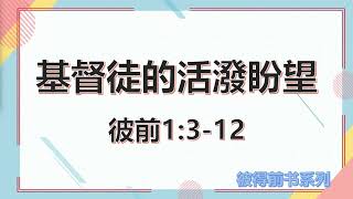 基督徒的活泼盼望#彼得前书1：3-12#彼得前书讲道系列 02#信心的盼望#盼望的源头#盼望的内容#盼望的表现