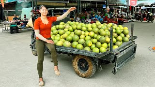 Harvesting A Lots Of Grapefruit Goes To Market Sell - Farm Life | Tiểu Vân Daily Life