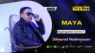 Dilmurod Madmusayev | MAYA To'y bop @DilmurodMadmusayev