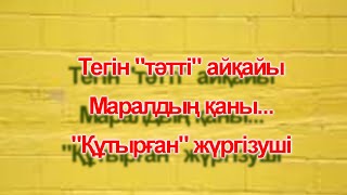 Тегін "тәтті" айқайы, маралдың қаны және "құтырған" жүргізуші...