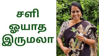 best home remedy tips for cold and cough in tamil| சளி ஓயாத இருமல்| herbal treatment for dry cough