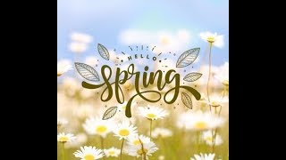 Hello Spring!