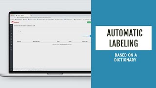 Automatic labeling based on dictionary terms